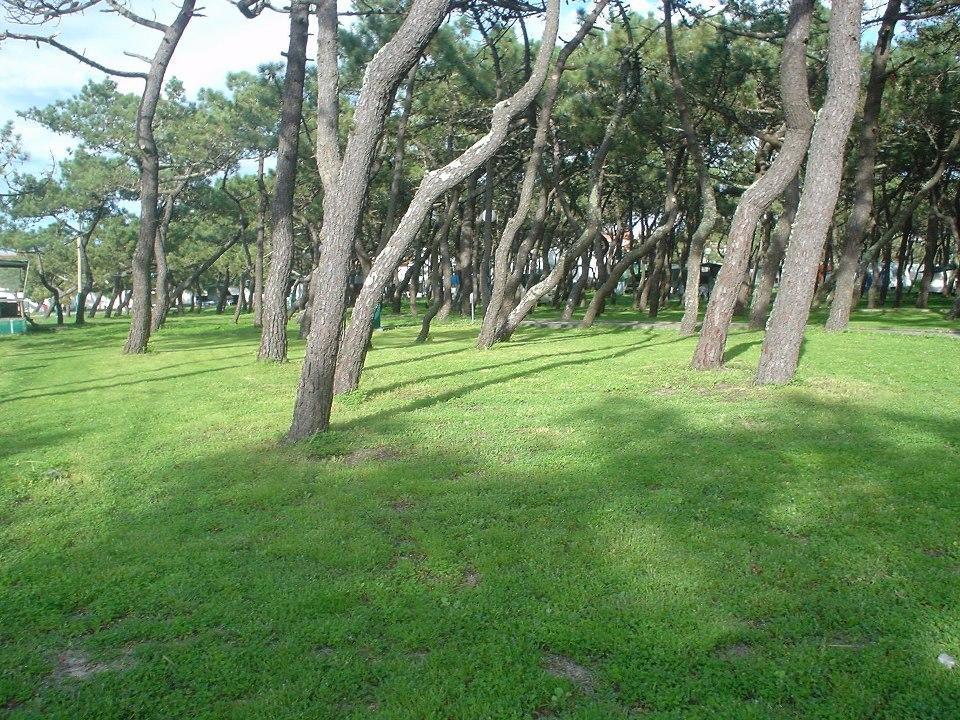 Parque De Campismo Da Praia Da Barra Gafanha da Nazare Exterior photo